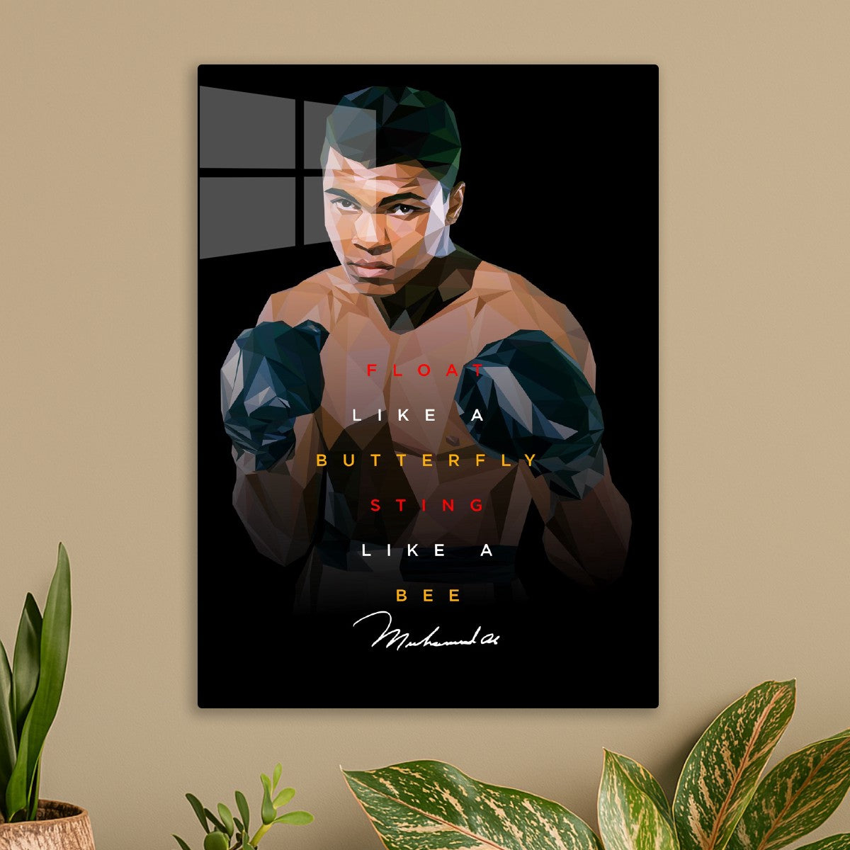Ali 