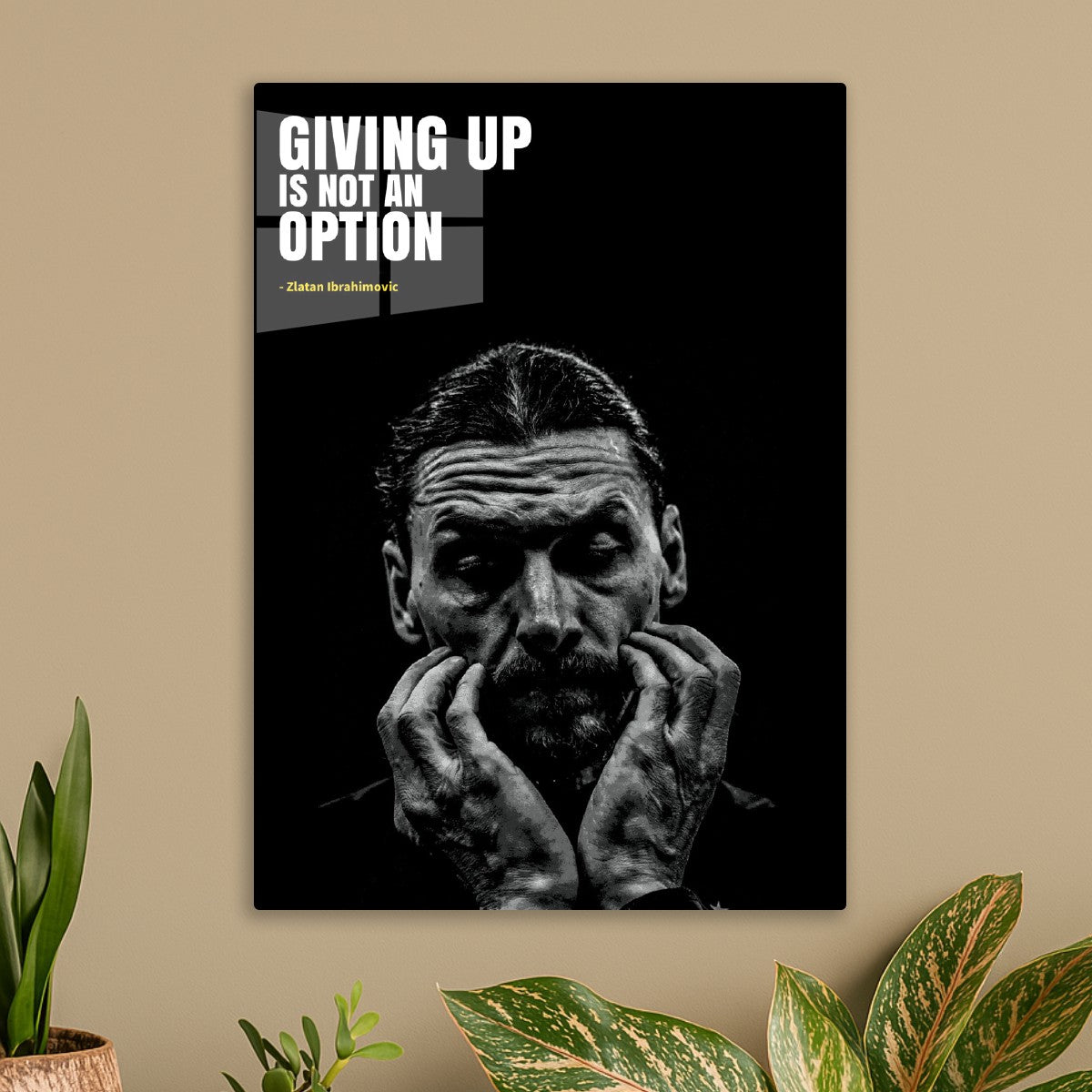 Zlatan Ibrahimovic