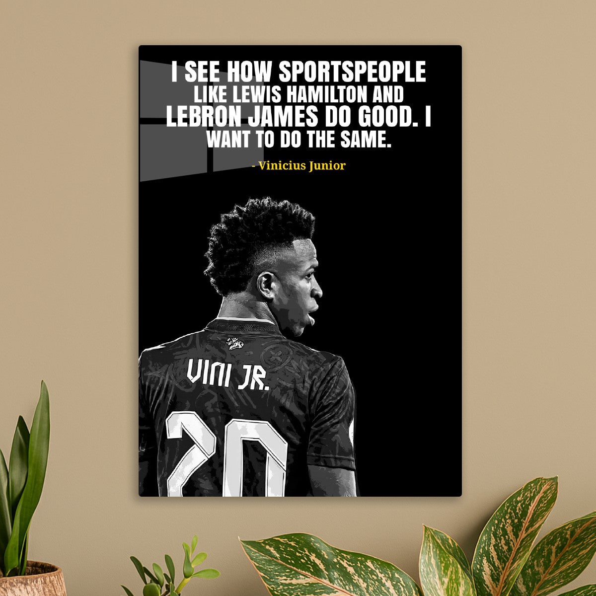 vini jr quotes