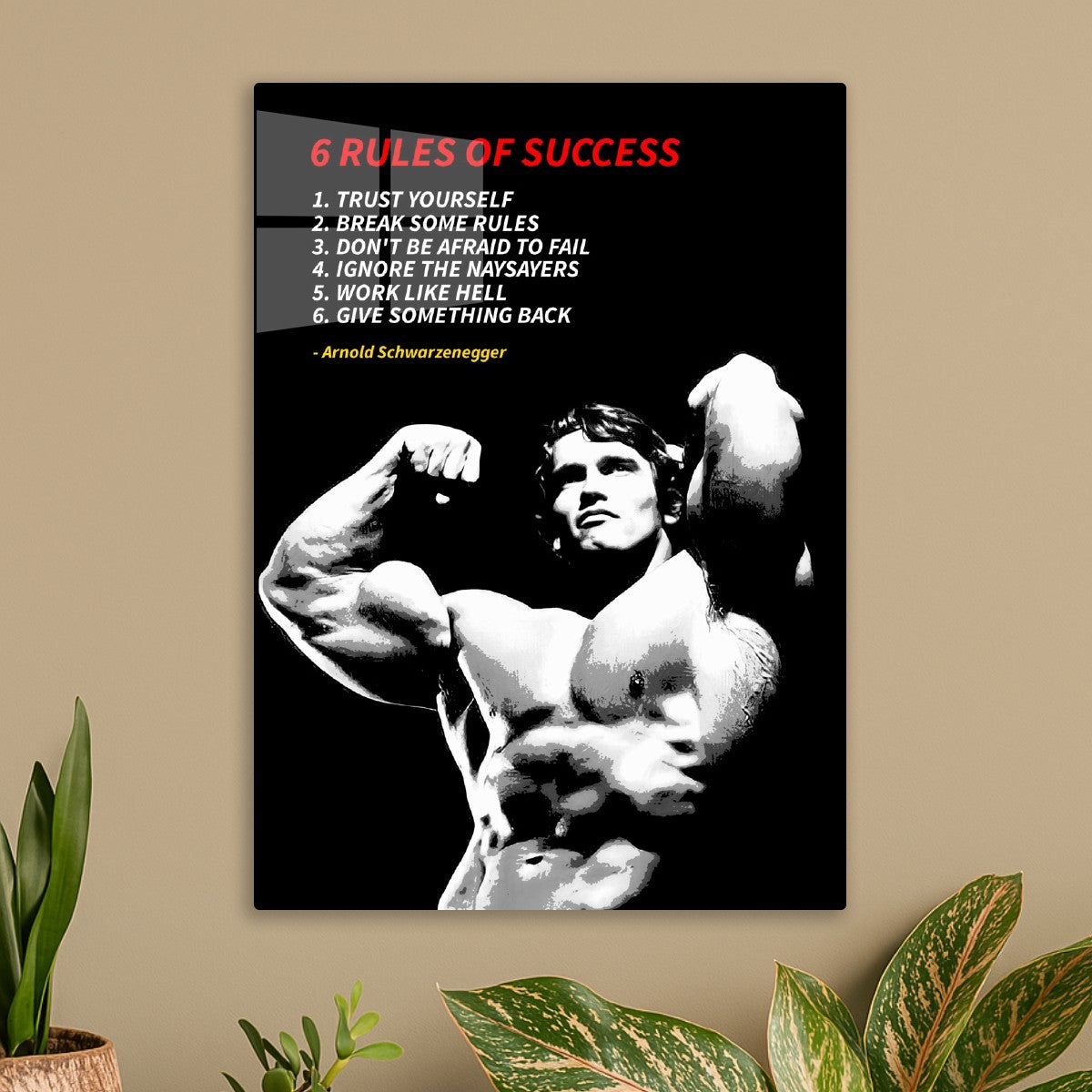 arnold Schwarzenegger