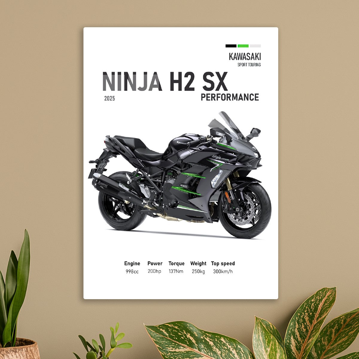 Kawasaki Ninja H2 SX 