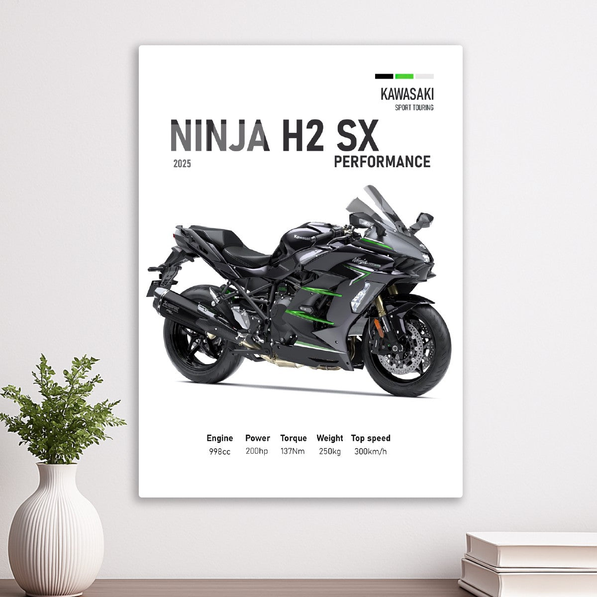 Kawasaki Ninja H2 SX 