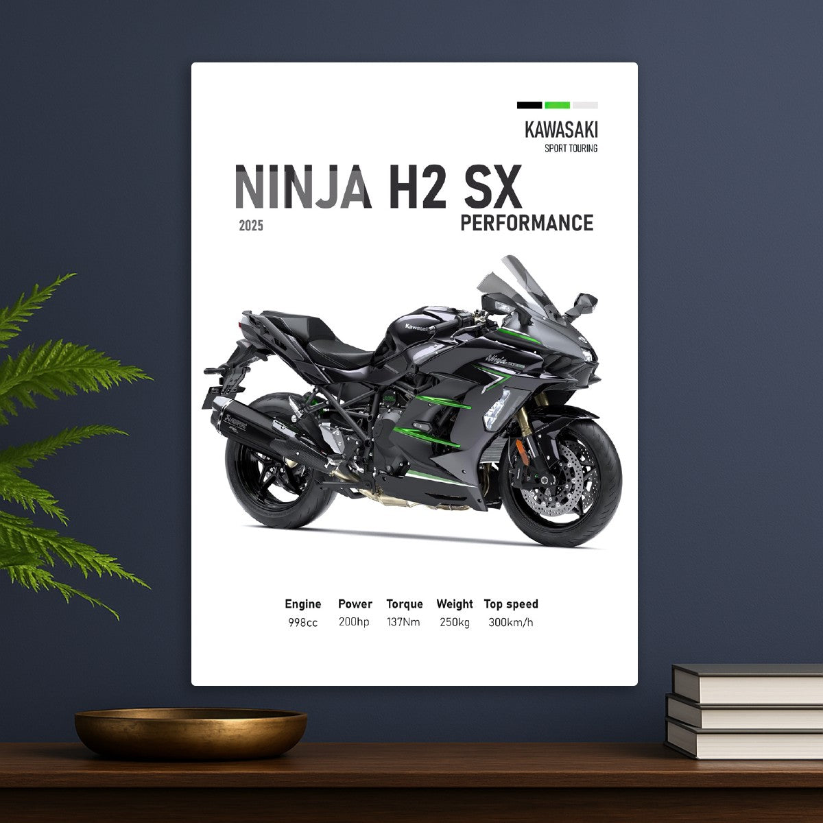 Kawasaki Ninja H2 SX 