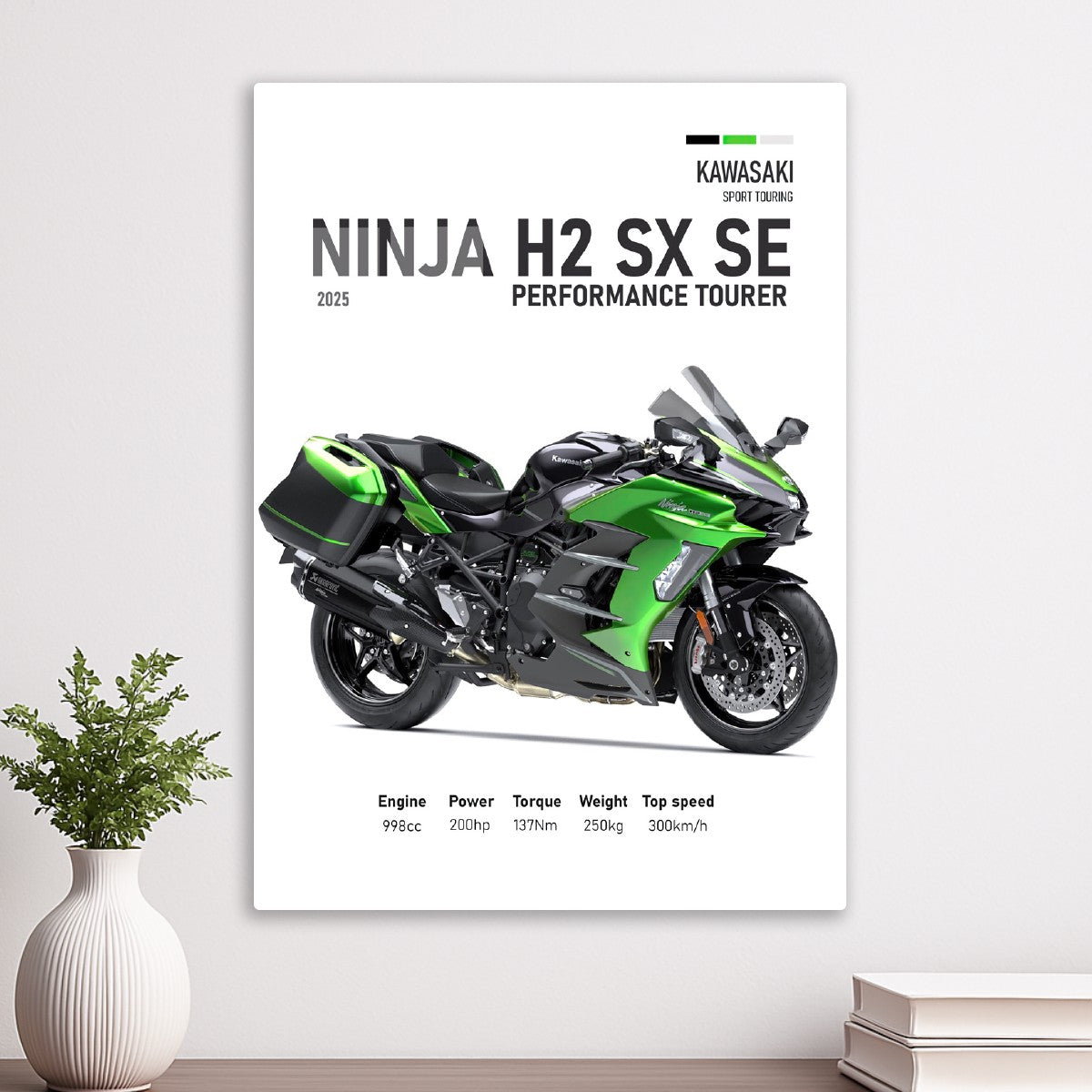 Kawasaki Ninja H2 SX 