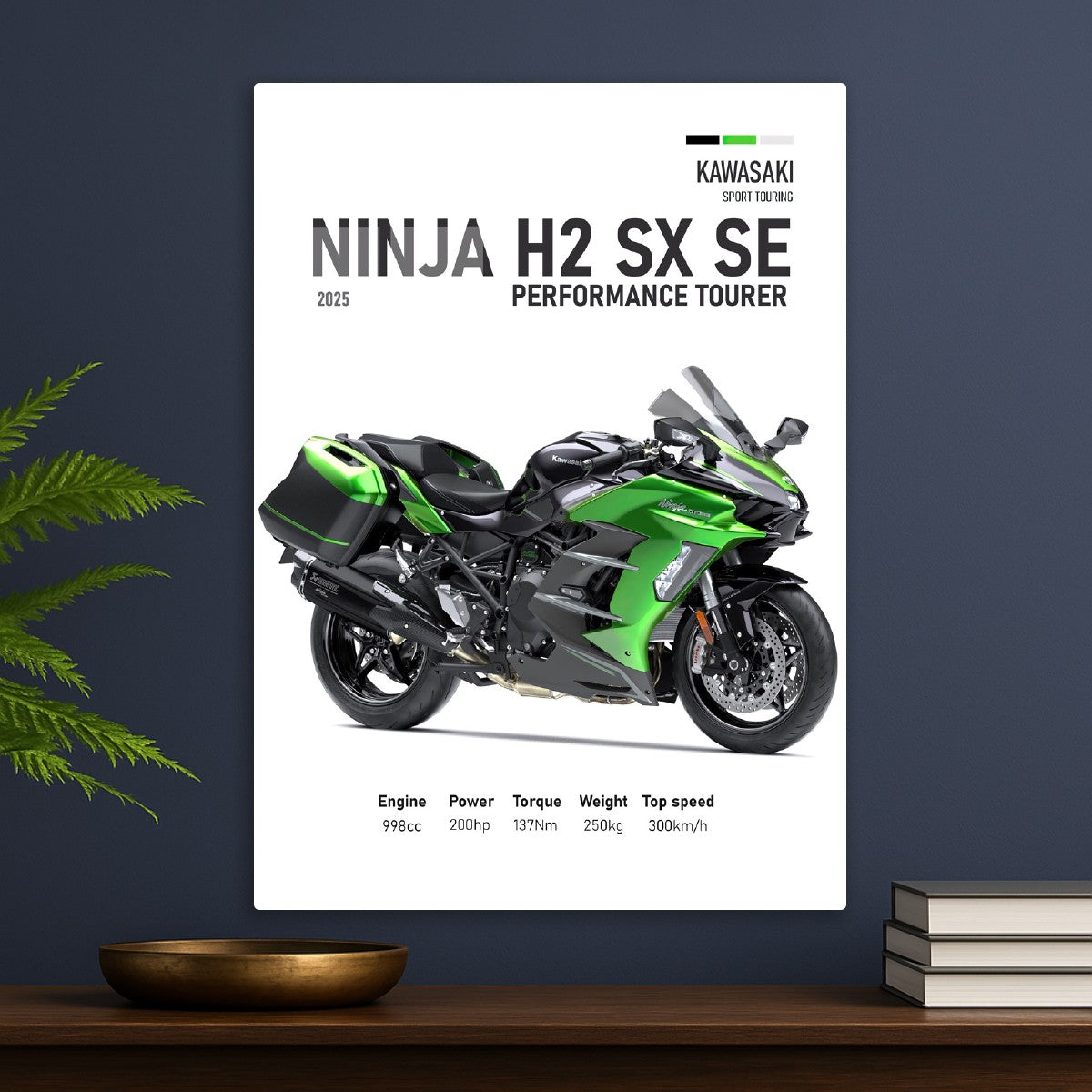 Kawasaki Ninja H2 SX 