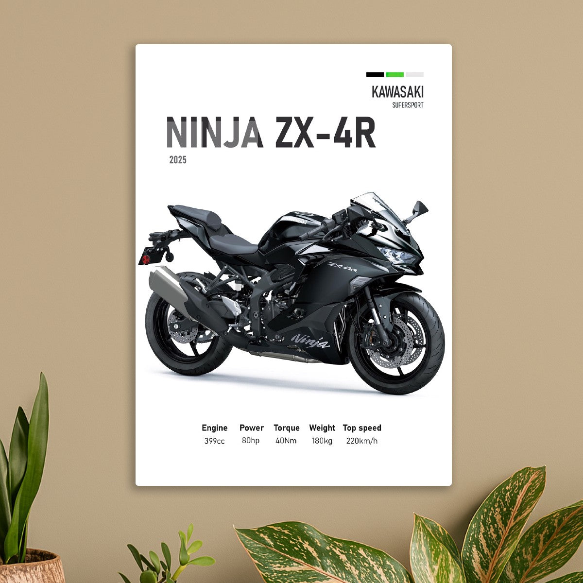 Kawasaki Ninja ZX-4R 