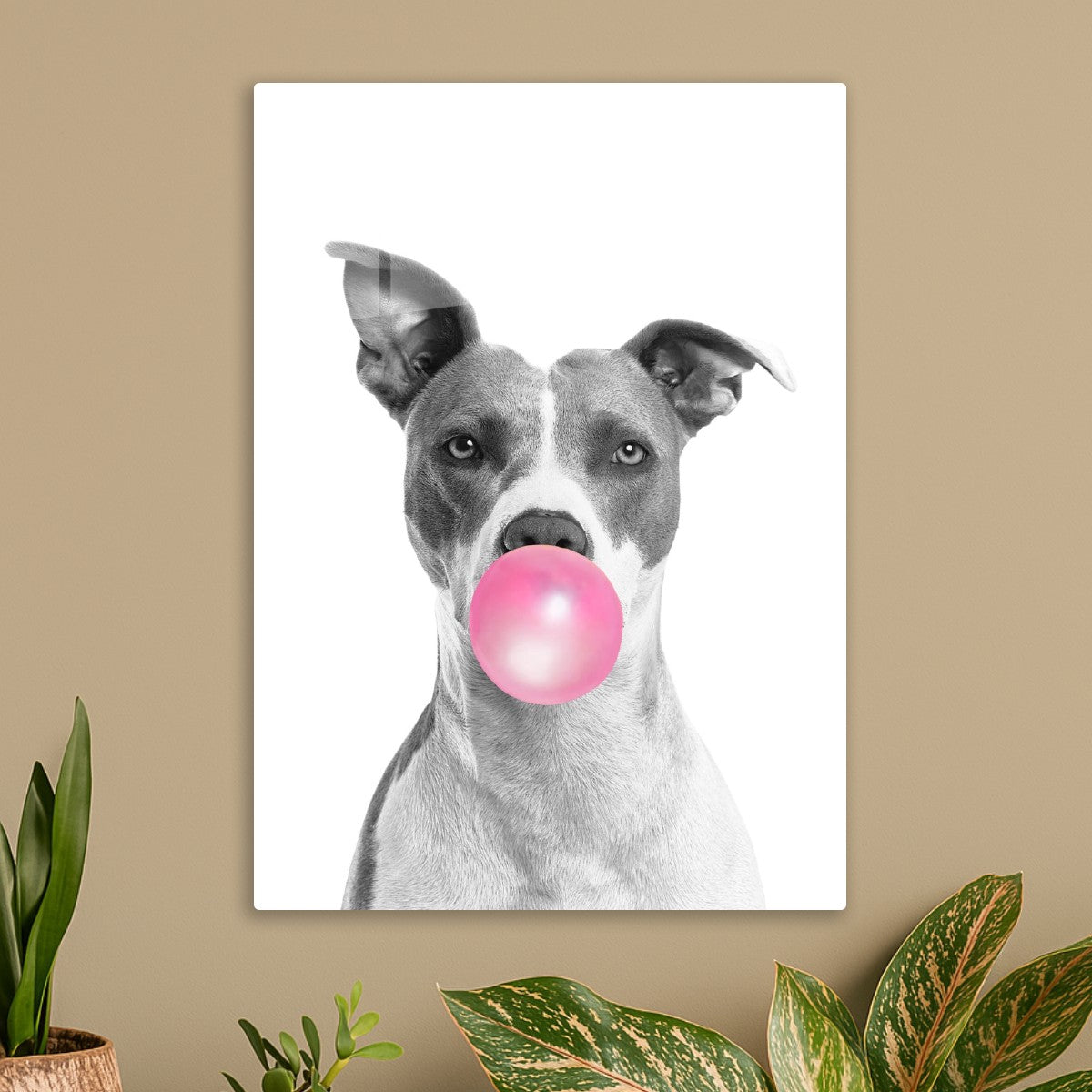 Dog Bubblegum