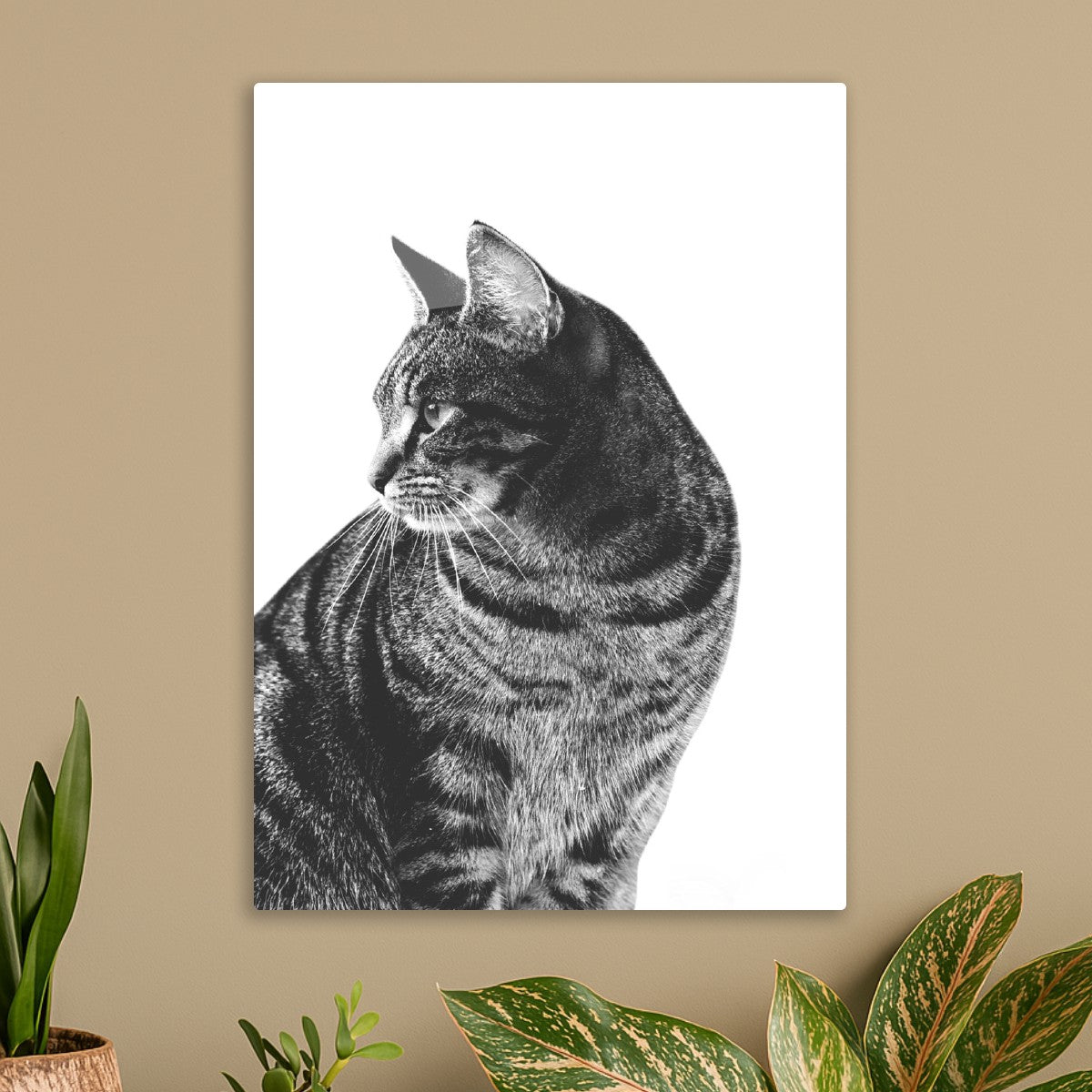 Cat Portrait