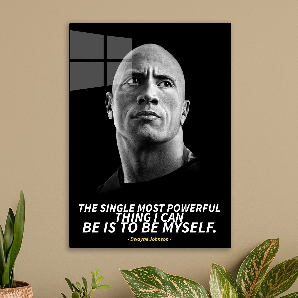 dwayne johnson