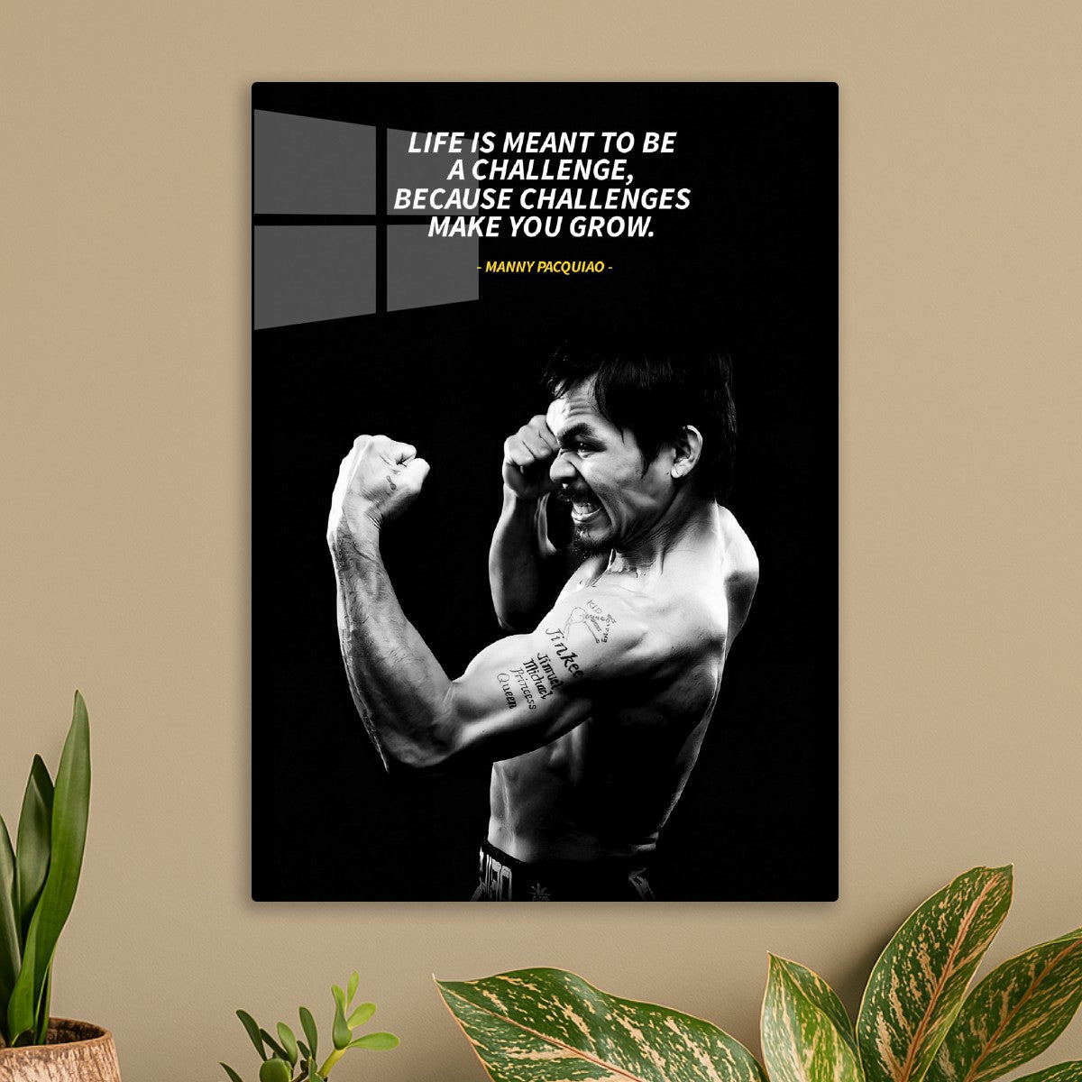 manny pacquiao
