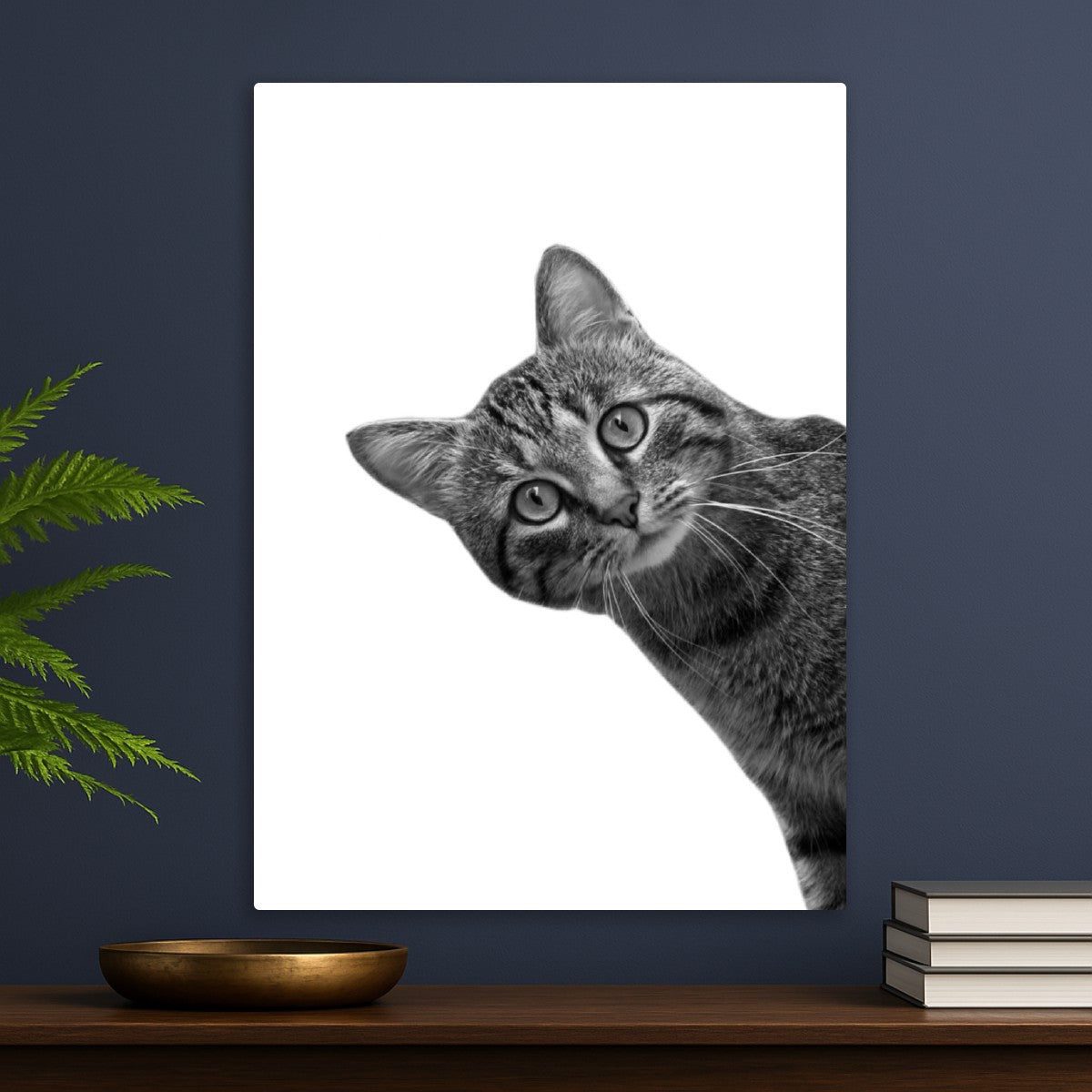 Funny Cat