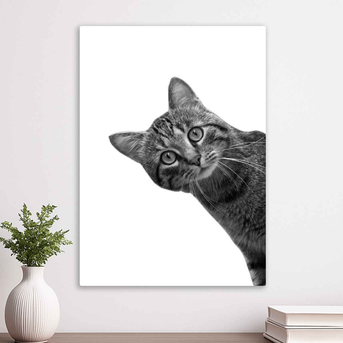 Funny Cat