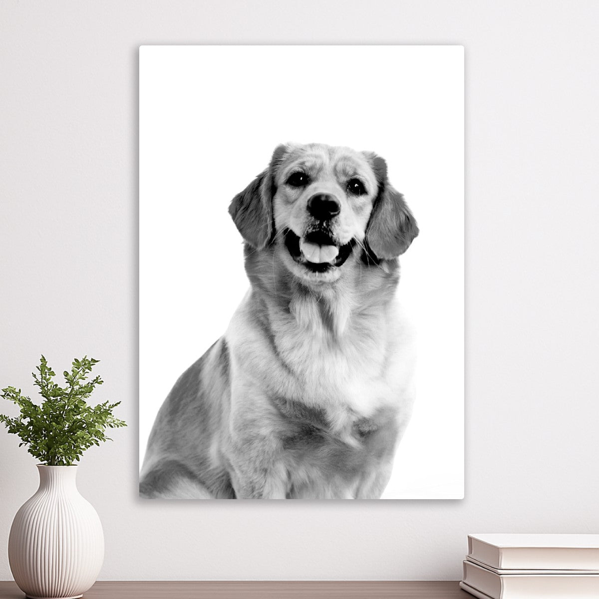 Golden Retriever Dog