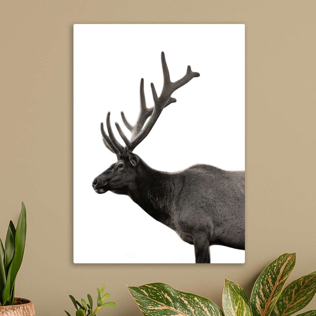 Deer Portrait