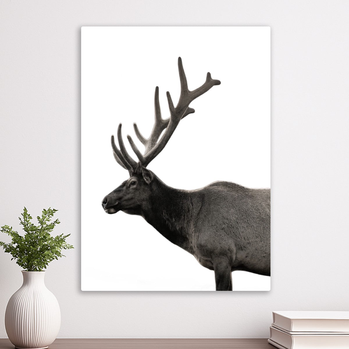 Deer Portrait