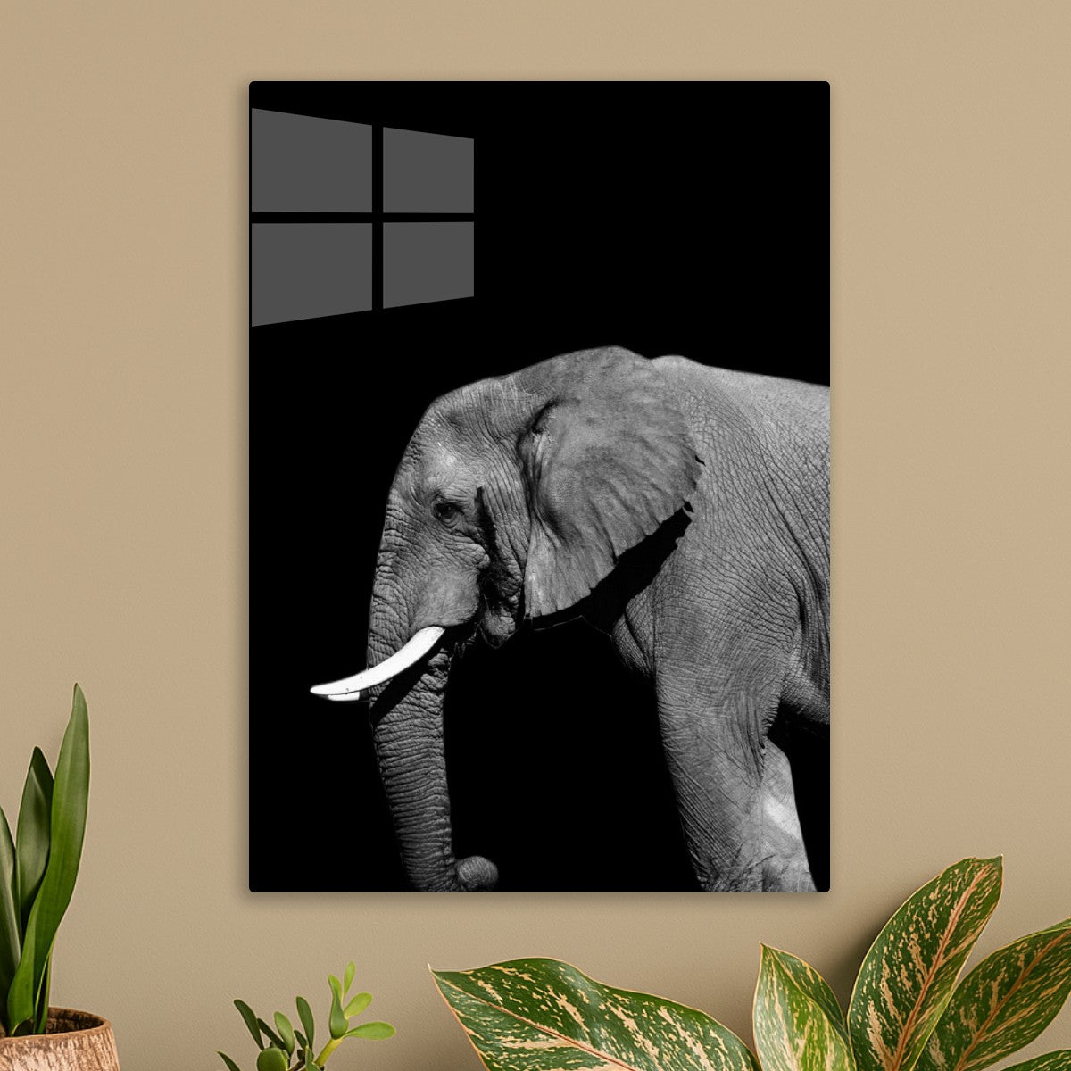 Elephant Portrait
