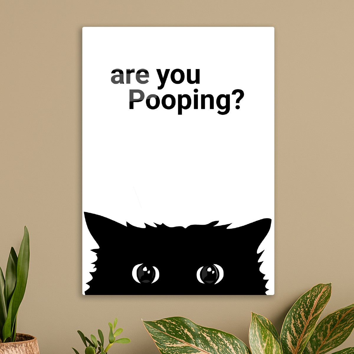 cat funny