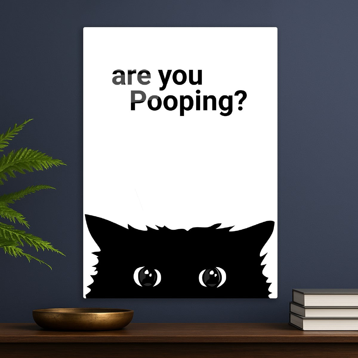 cat funny