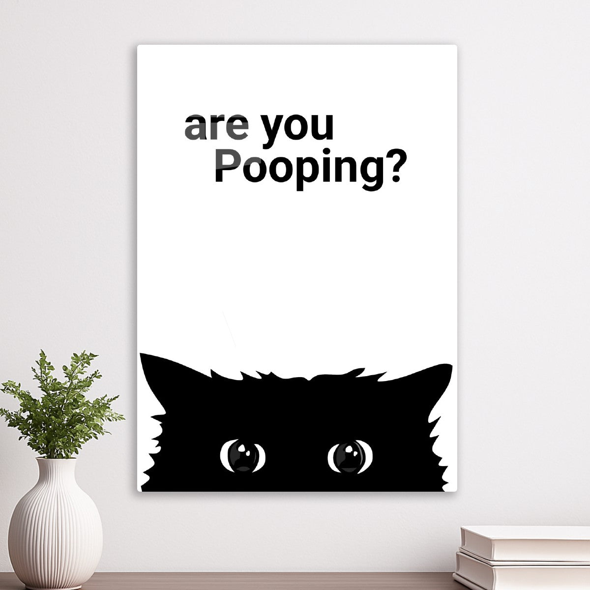 cat funny