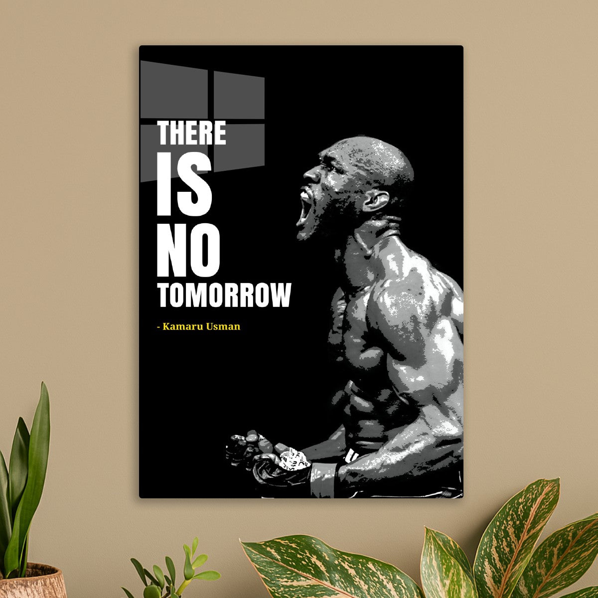 Kamaru usman