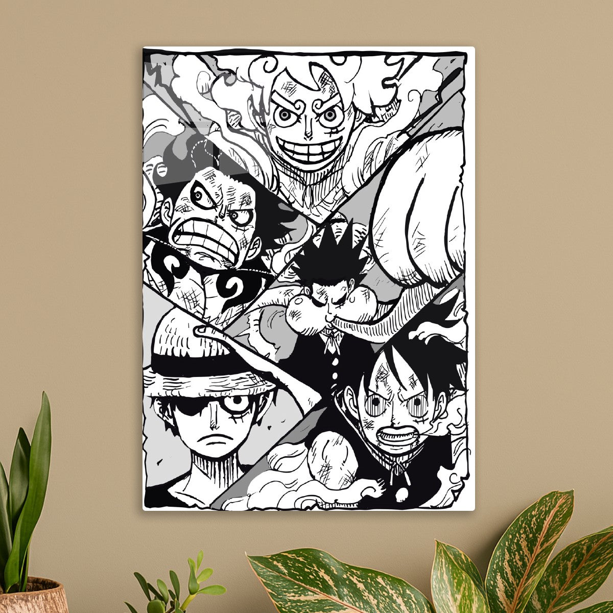 Luffy Evolutions in One Piece