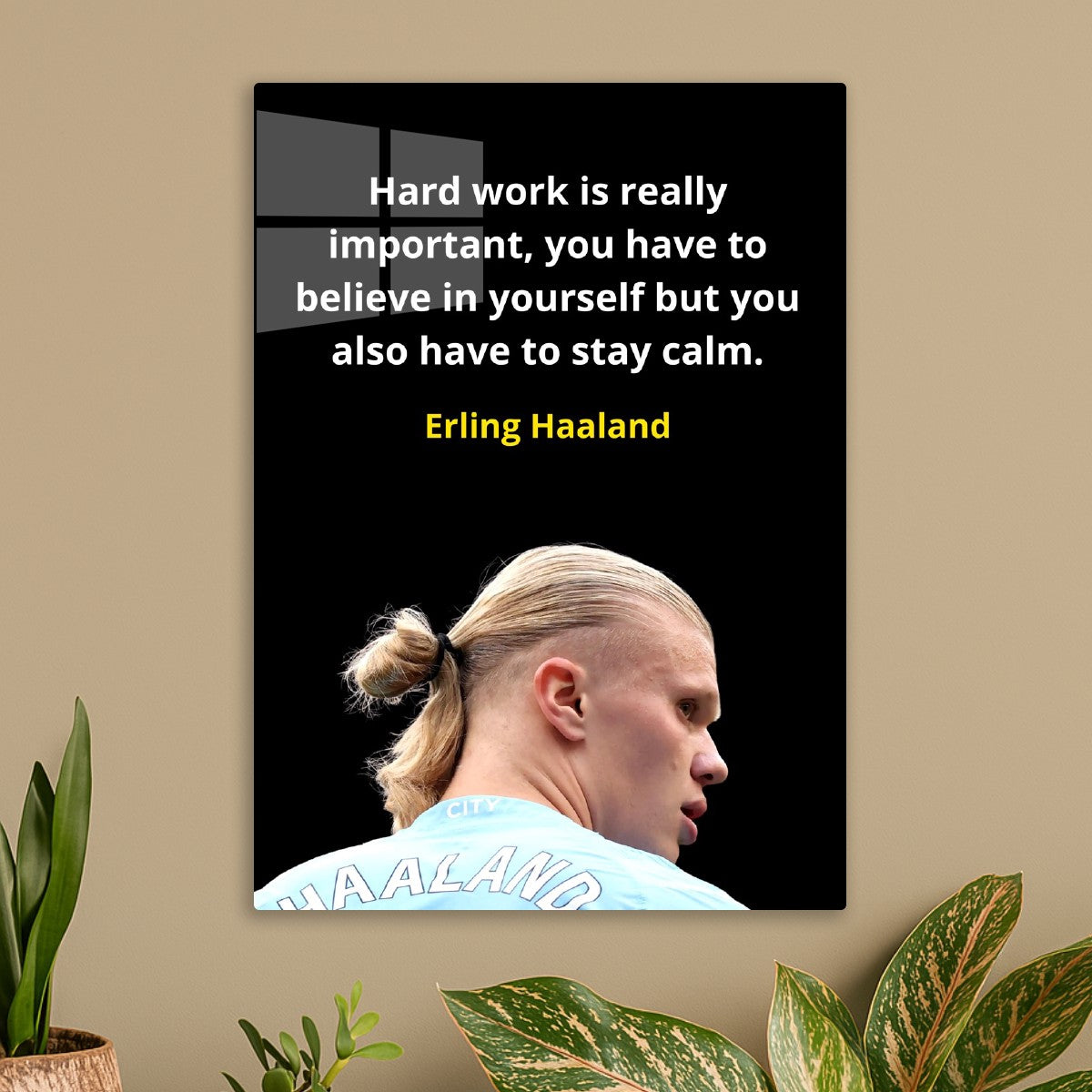 Erling Haaland Quotes