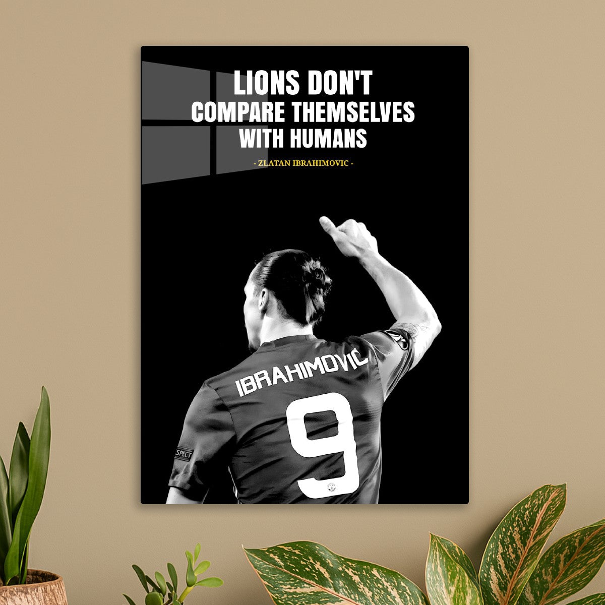 Zlatan Ibrahimovic