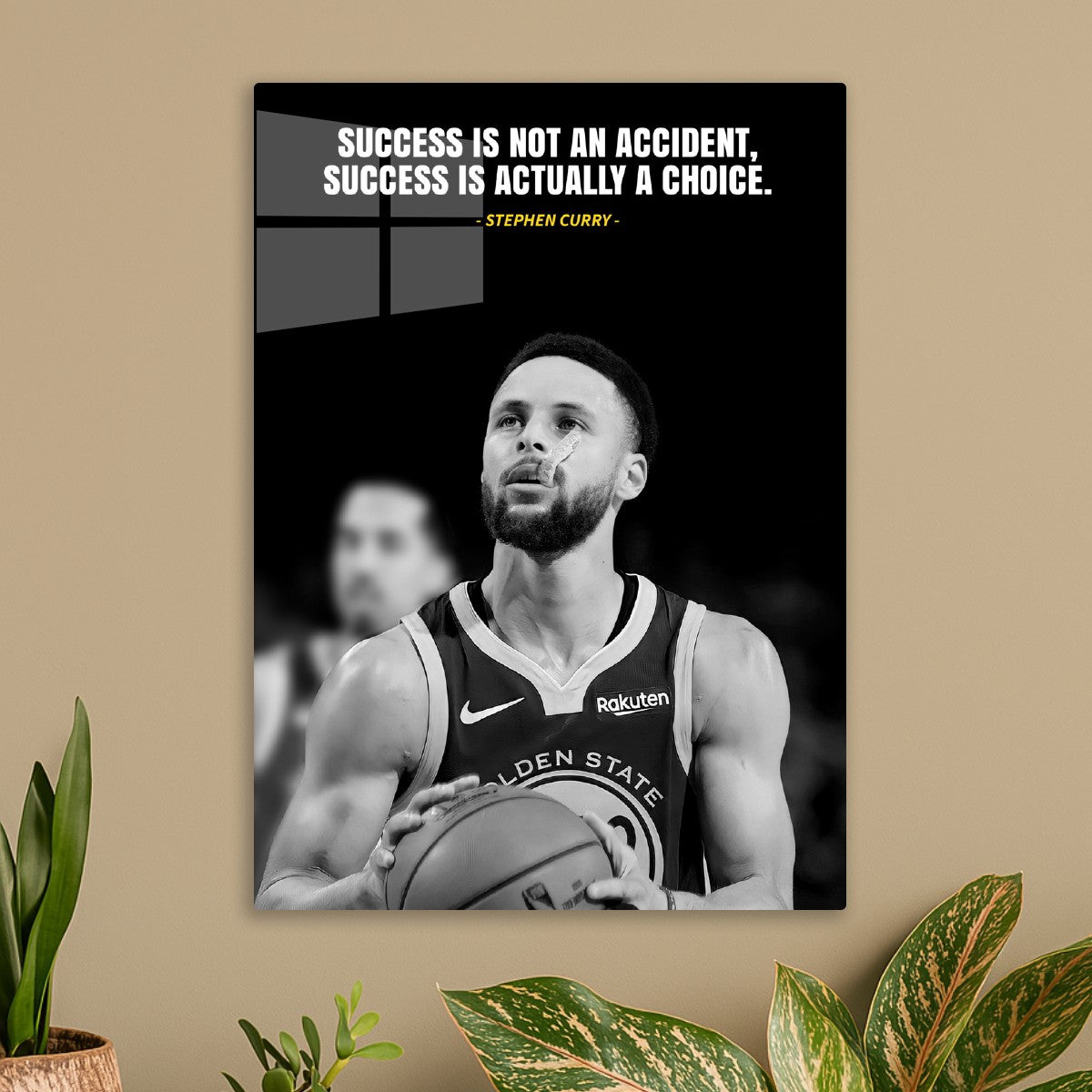 stephen curry