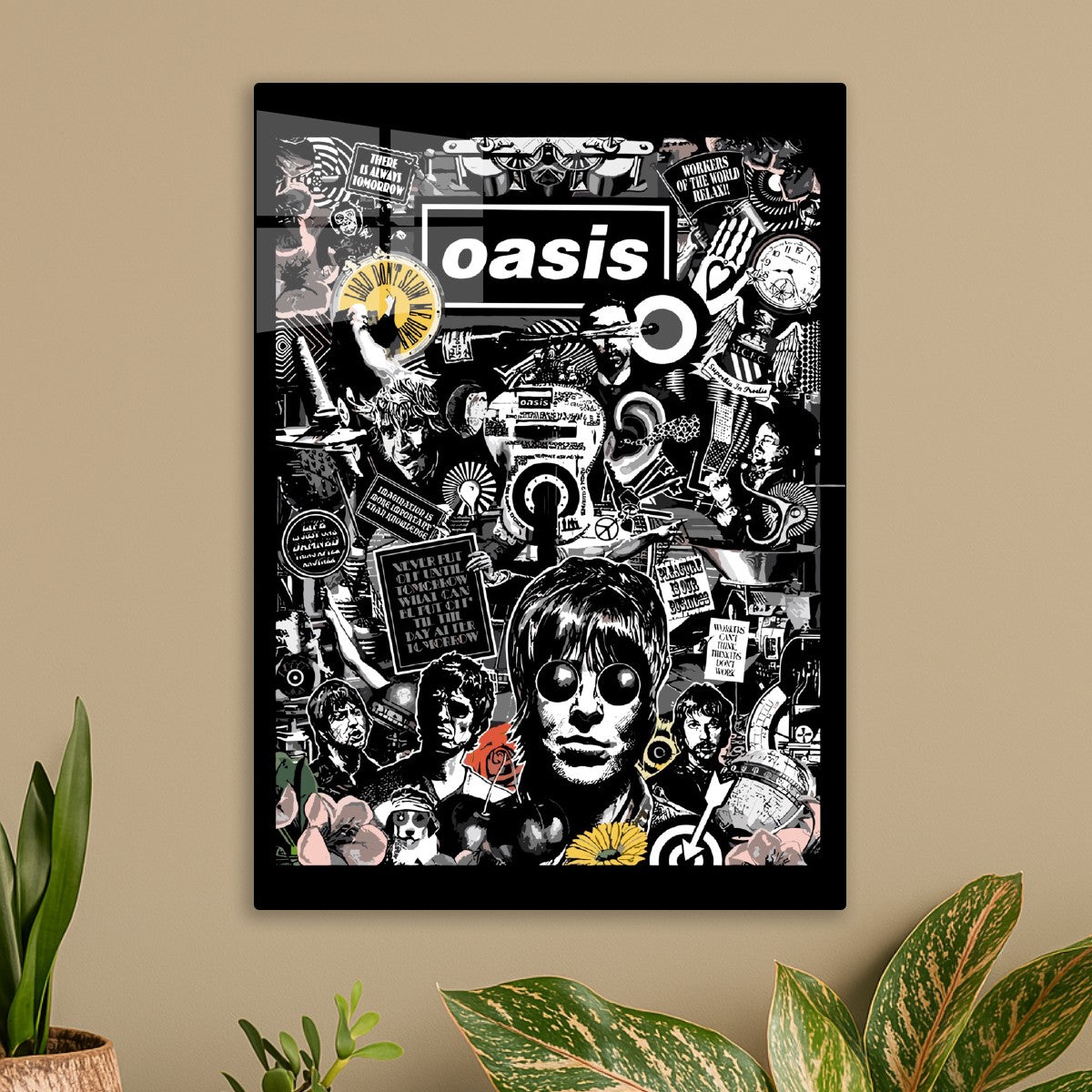Oasis