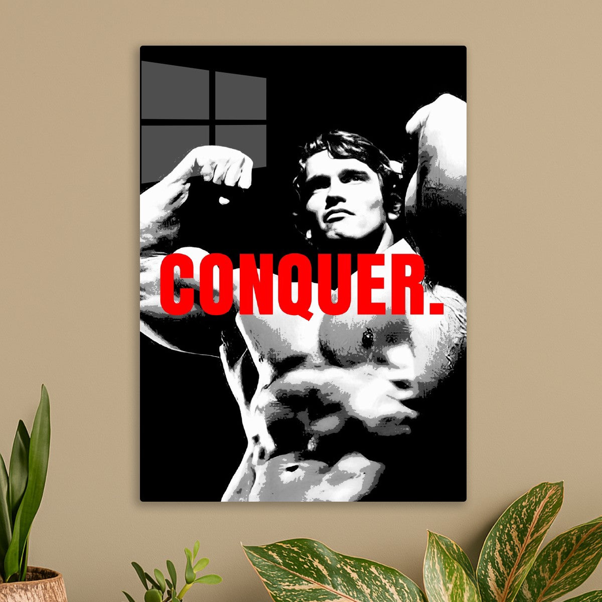 Arnold Schwarzenegger