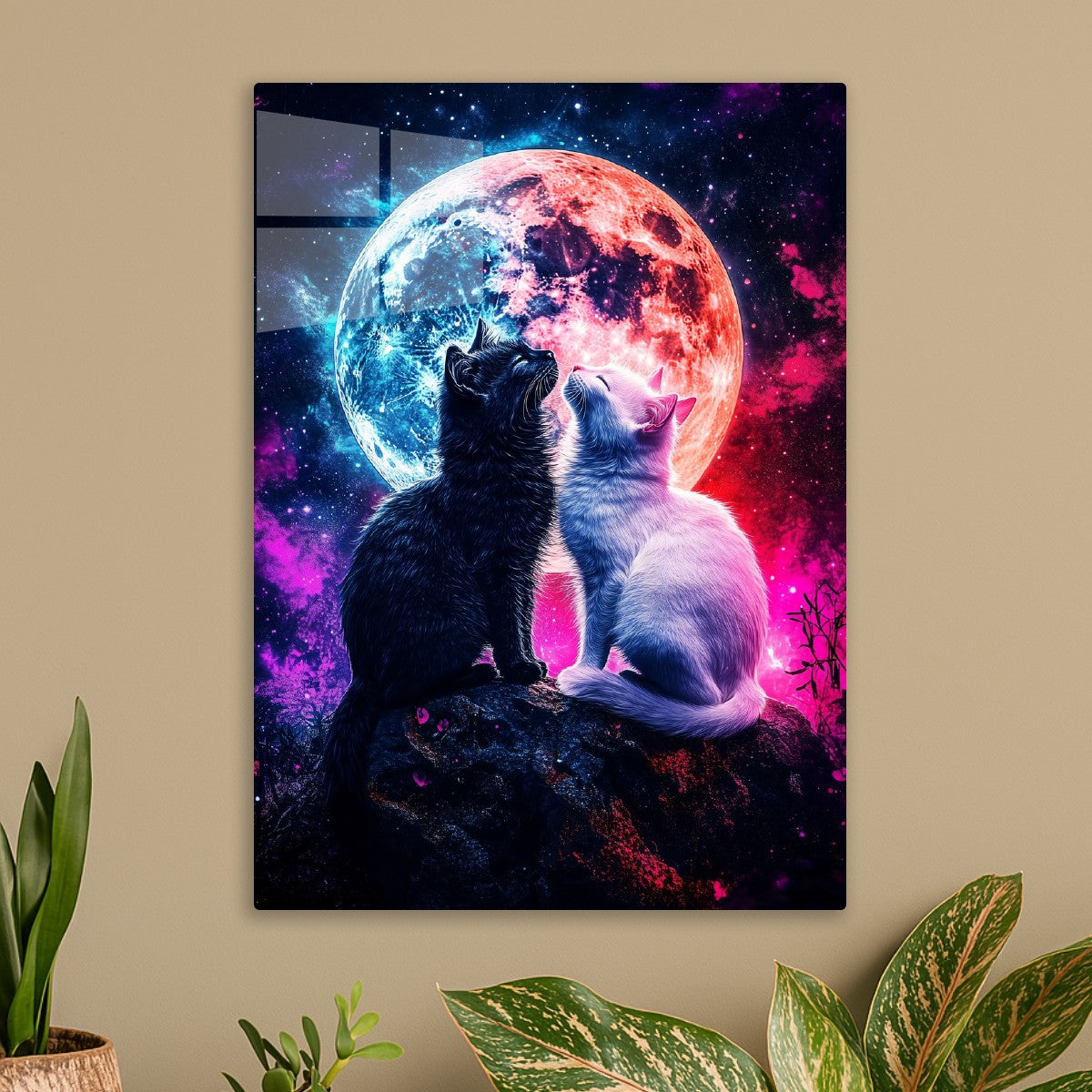 Celestial Companions