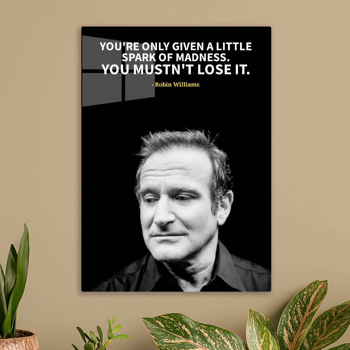 Robin William 