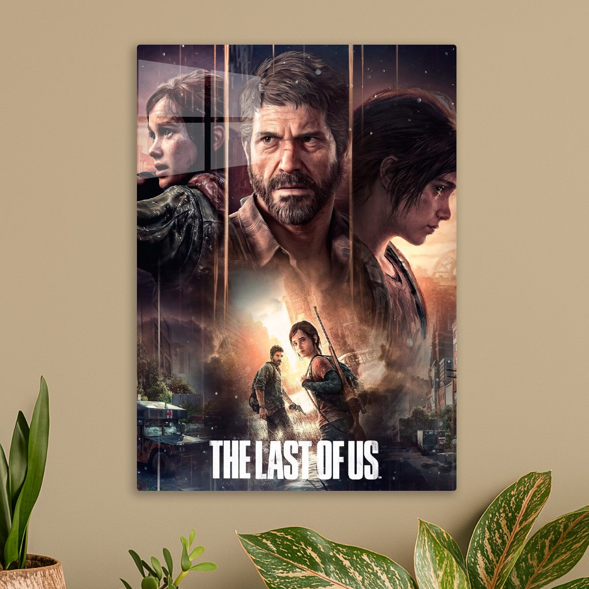the last of us