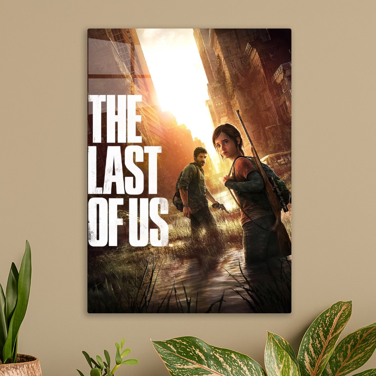 the last of us