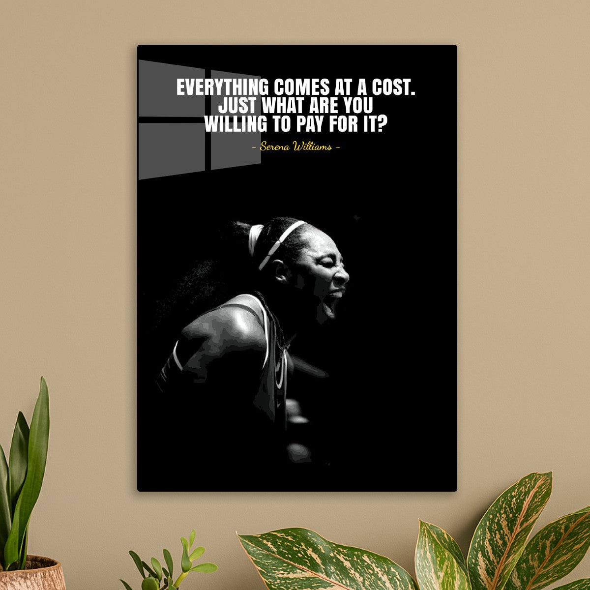 serena williams