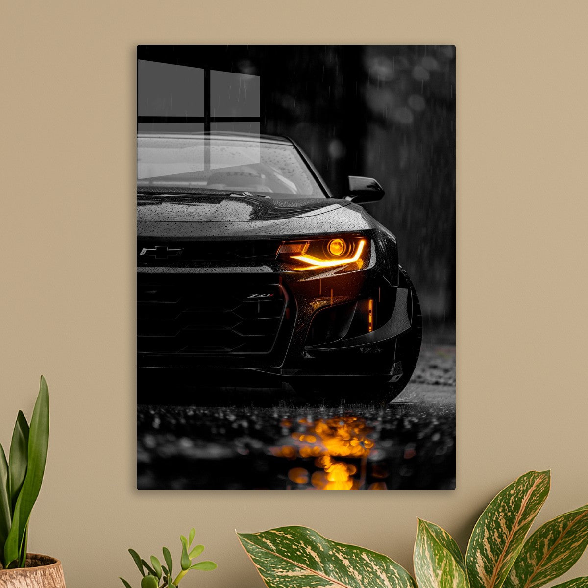 Amber Gaze of the Chevrolet 