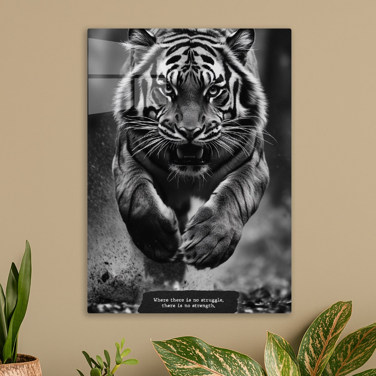 Monochrome Tiger Pounce