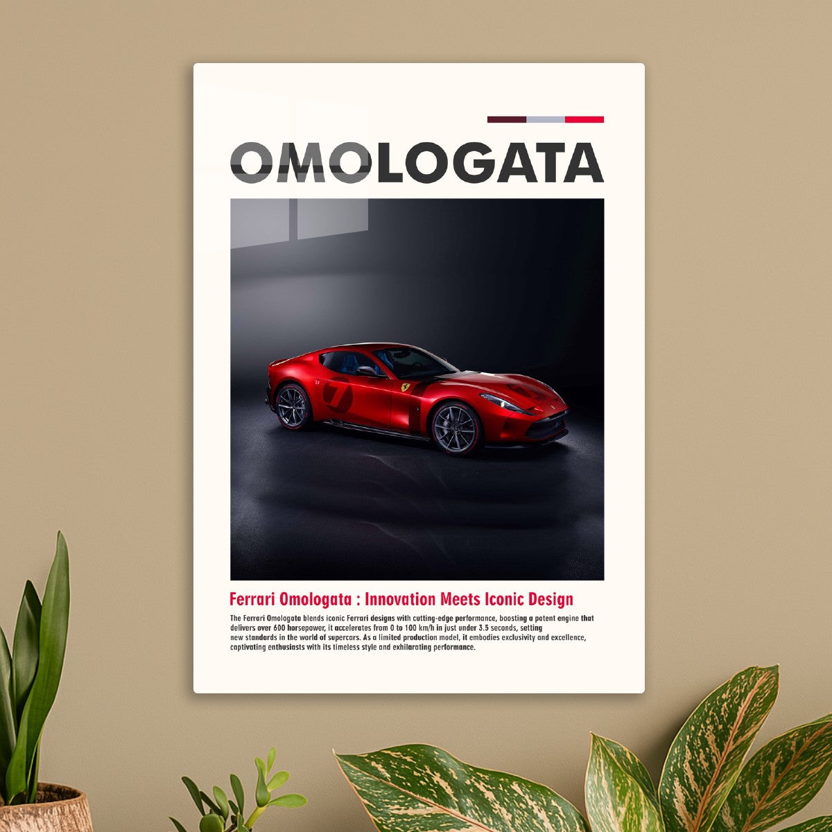 Ferrari Omologata