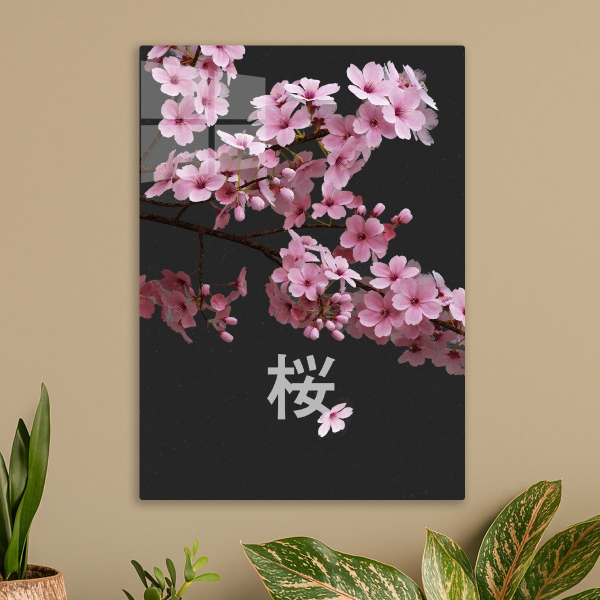 Pink Cherry Blossoms