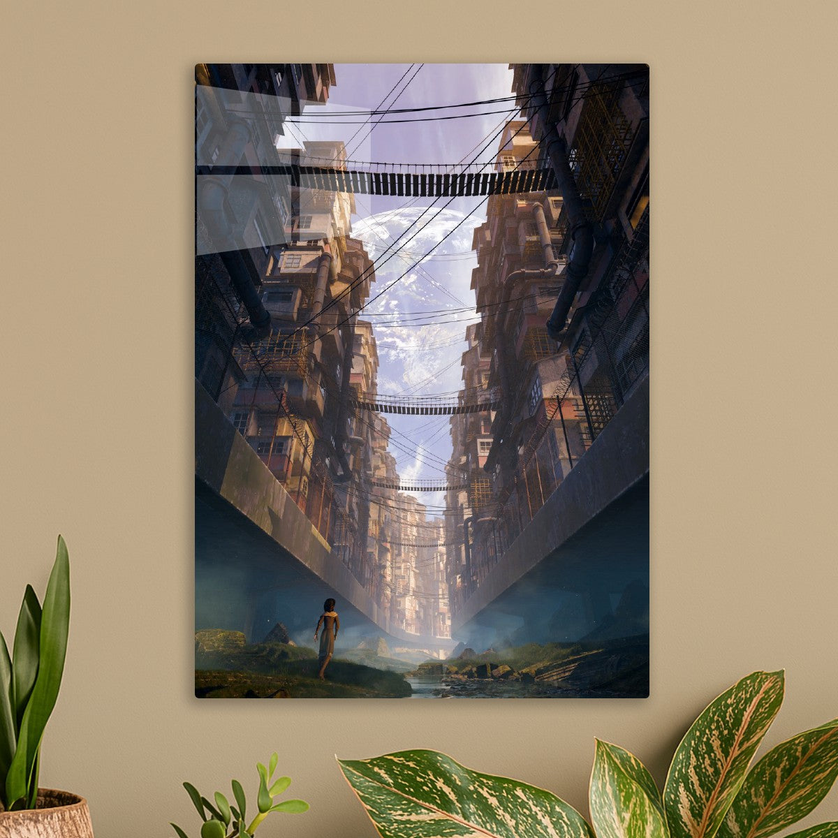The Narrow Path Home