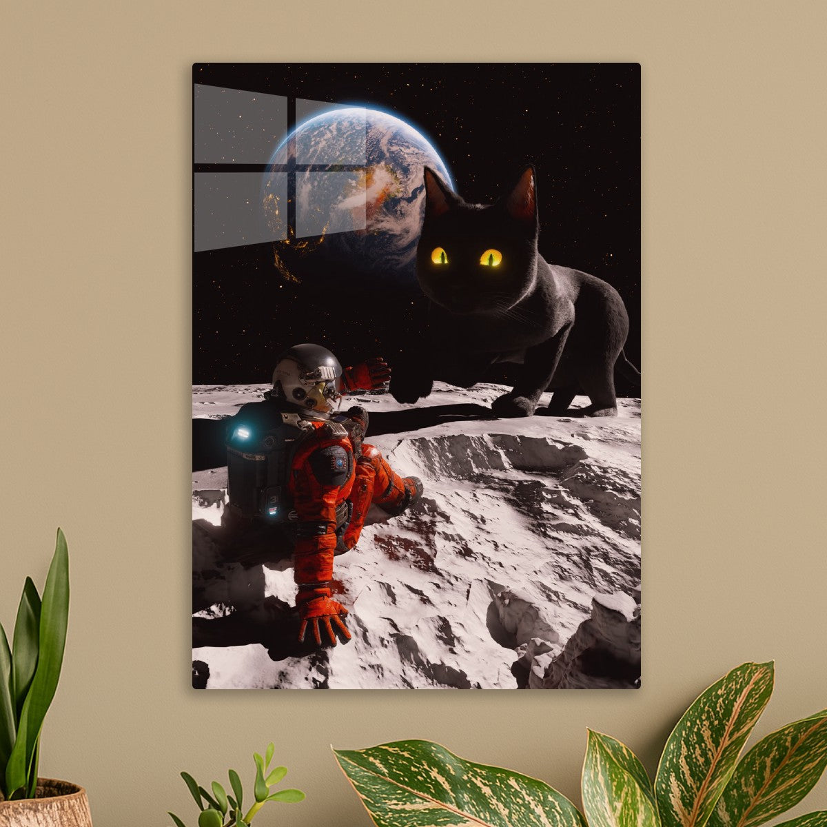 The Moon Cat's Arrival