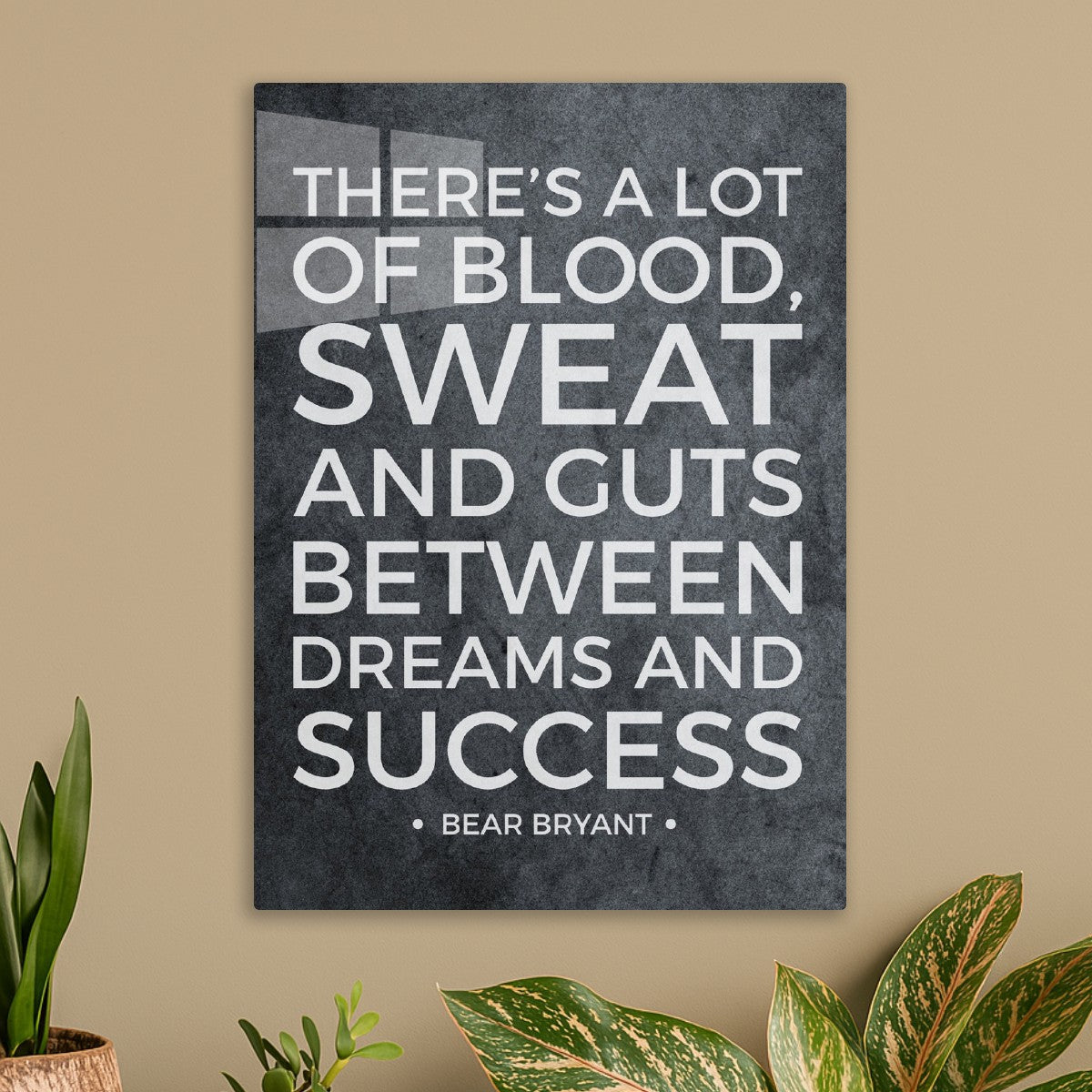 Motivation Quote