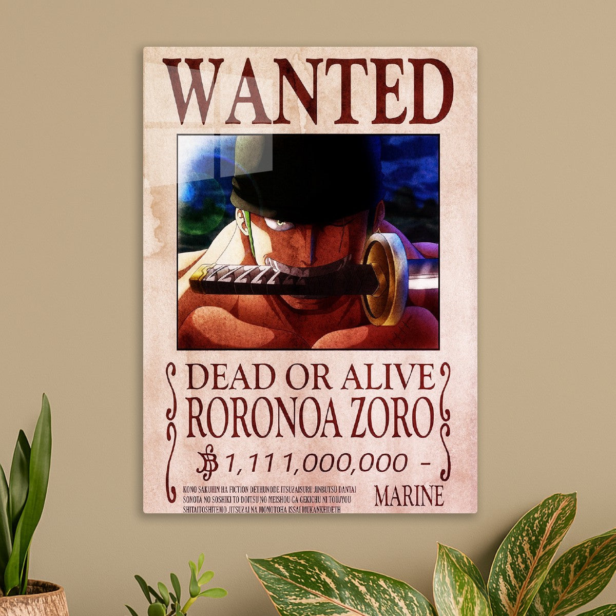 Zoro Wanted