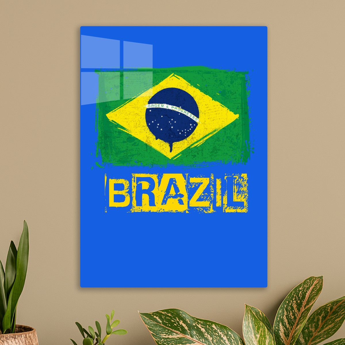 brazil flag