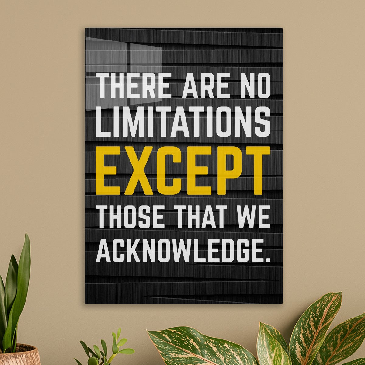 No Limit