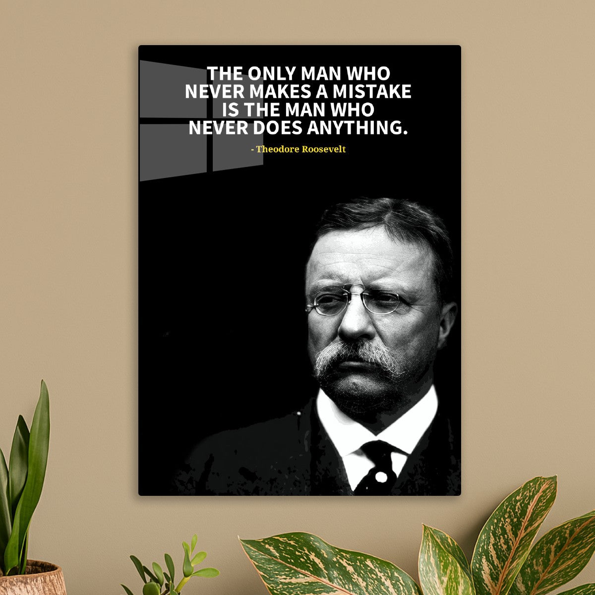 teddy roosevelt