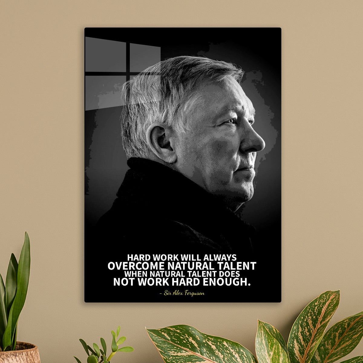 sir Alex Ferguson