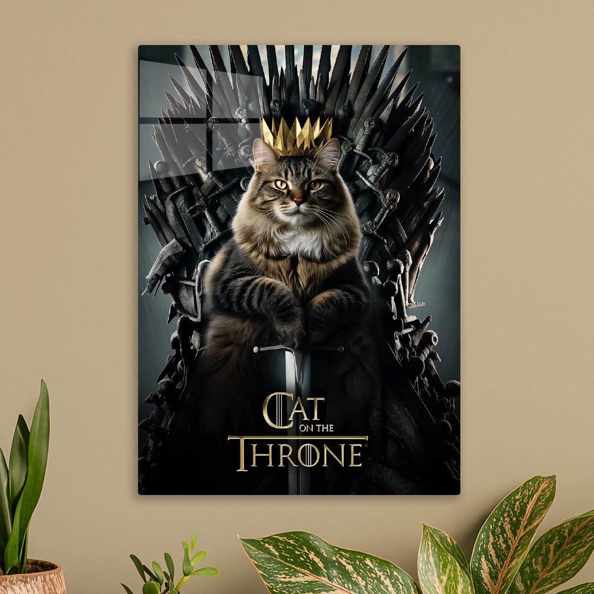 Cat Of The Throne