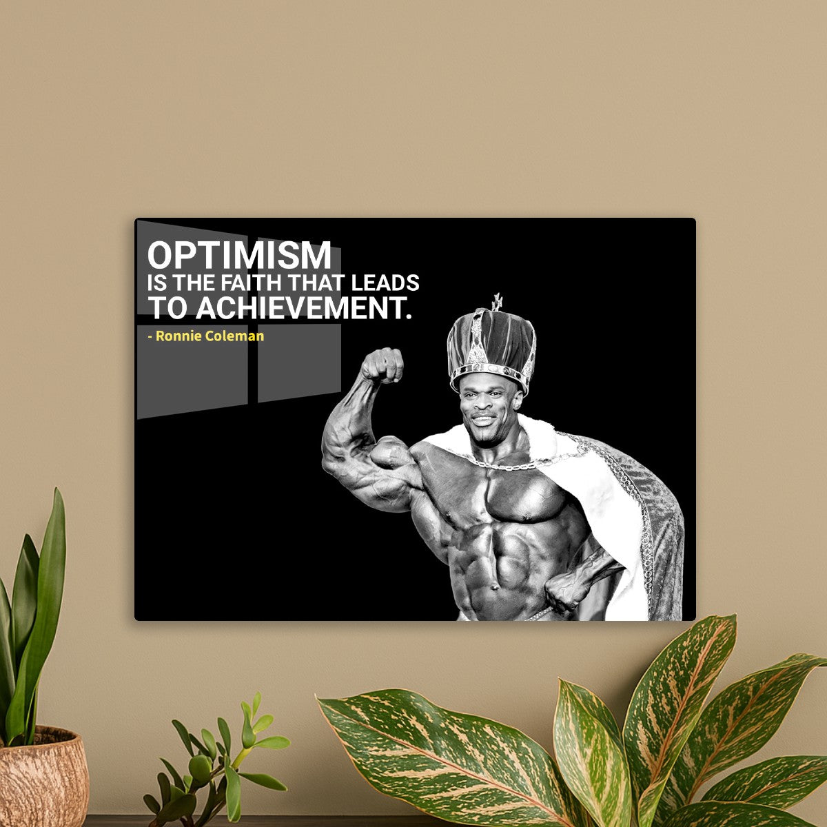 ronnie coleman