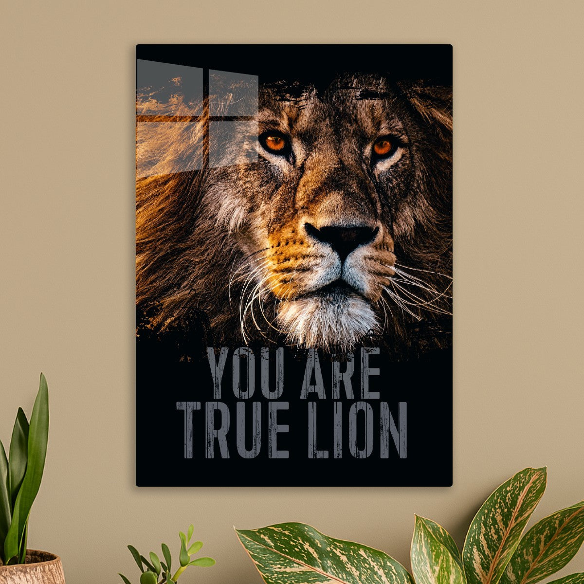 Lion Heart